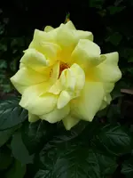 20200522_112955.jpg