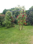 20200522_112857.jpg