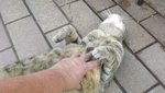 DSCF2932.JPG
