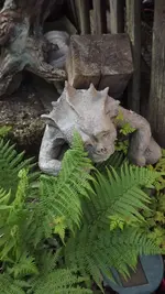 deko (13).webp