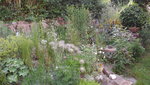 DSCF2881.JPG