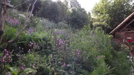 DSCF2885.webp
