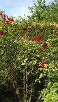 DSCF2923.JPG