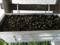 2020-05-22 15.59.46.jpg