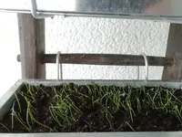 2020-05-22 16.01.06.jpg