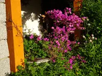 DSC01024.webp