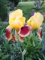 20200522_202952.webp