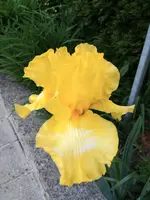 20200522_201755.webp