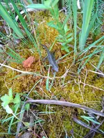 Bild.webp