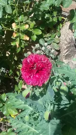 20200521_124531.webp