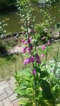20200521_124558.jpg