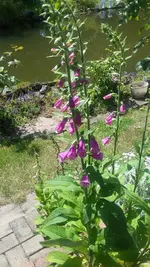 20200521_124558.webp