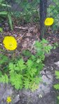 20200521_124658.jpg
