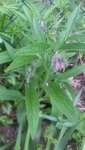 20200521_124745.jpg