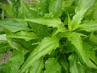 23_05_2020 (23).webp