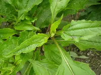 23_05_2020 (24).webp