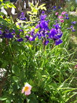 20200521_101850.jpg