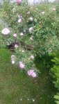 20200524_113701.jpg