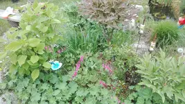 IMG_20200516_131740.webp