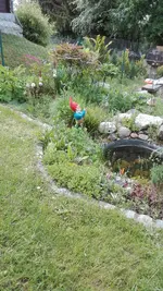 IMG_20200515_151518.webp