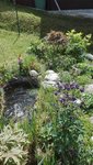 IMG_20200515_151459.jpg