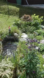 IMG_20200515_151459.webp
