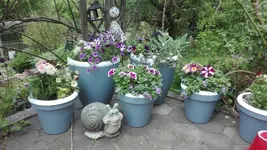 IMG_20200516_131550.webp