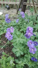 IMG_20200516_131826.webp