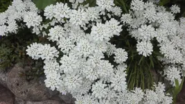 IMG_20200516_131728.webp