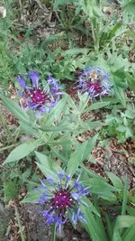 IMG_20200514_170231.webp