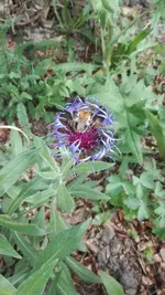 IMG_20200514_170223.webp