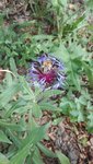 IMG_20200514_170223.jpg