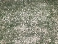 IMG_7703.JPG IMG_7703.JPG