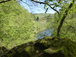P1000317.JPG