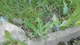 IMG_20200525_174858.webp