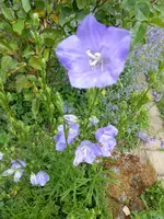 P1000435.webp