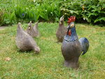 P1000436.JPG