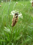P1000439.JPG