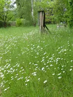 P1000481.webp