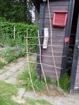 P1000500.JPG