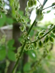 P1000516.JPG