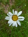 P1000520.JPG