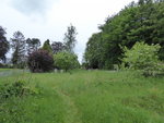 P1000528.JPG