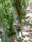 P1000387.JPG