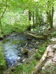 P1000407.JPG