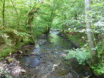 P1000410.JPG