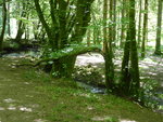 P1000412.JPG