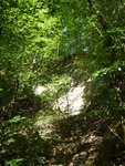 P1000414.JPG