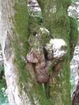 P1000417.JPG