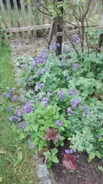 IMG_20200525_161808.jpg